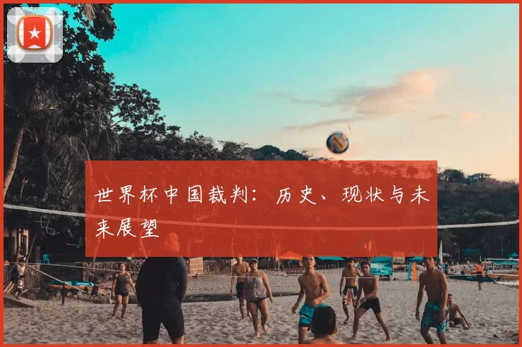 世界杯中国裁判:历史、现状与未来展望
