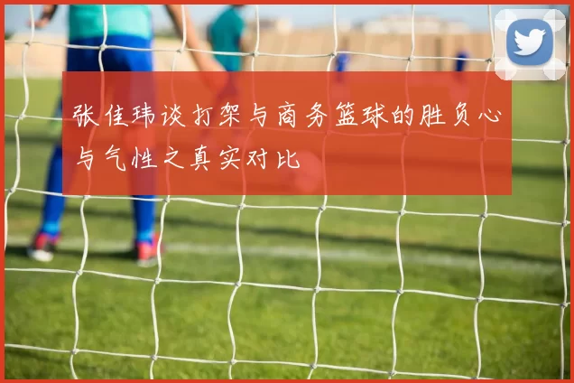 张佳玮谈打架与商务篮球的胜负心与气性之真实对比