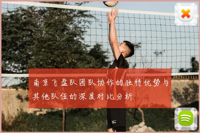 南京飞盘队团队协作的独特优势与其他队伍的深度对比分析