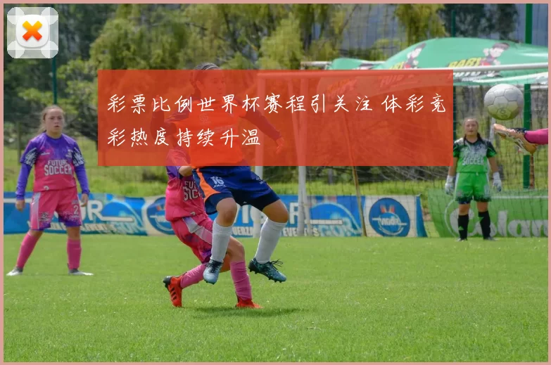 彩票比例世界杯赛程引关注 体彩竞彩热度持续升温