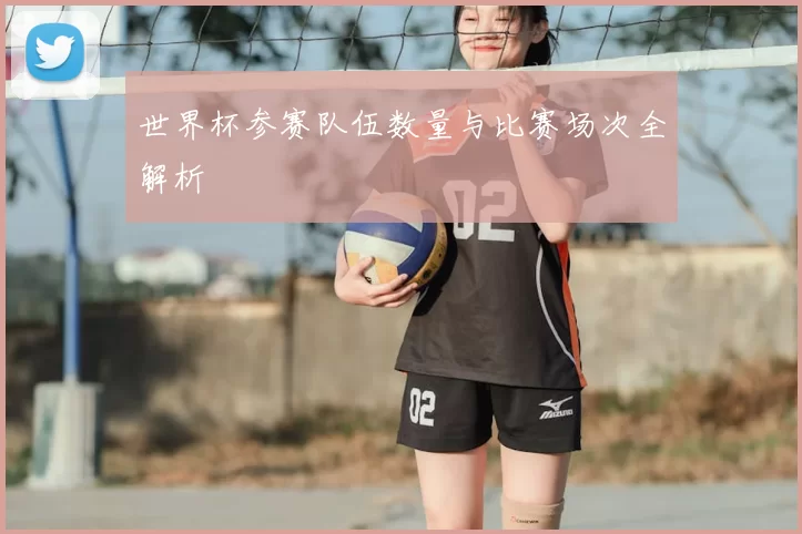 世界杯参赛队伍数量与比赛场次全解析
