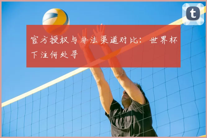 官方授权与非法渠道对比：世界杯下注何处寻