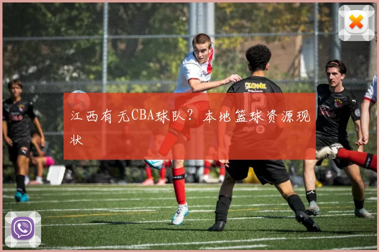 江西有无CBA球队？本地篮球资源现状