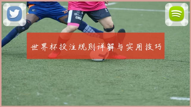 世界杯投注规则详解与实用技巧