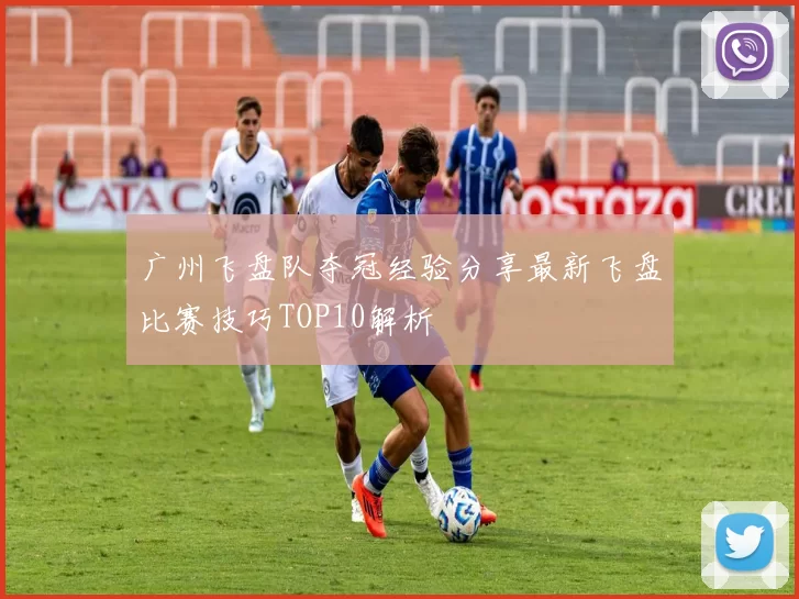 广州飞盘队夺冠经验分享最新飞盘比赛技巧TOP10解析