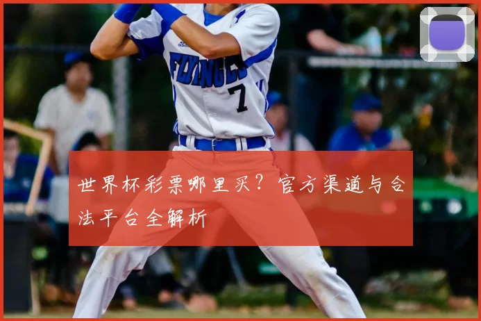 世界杯彩票哪里买？官方渠道与合法平台全解析