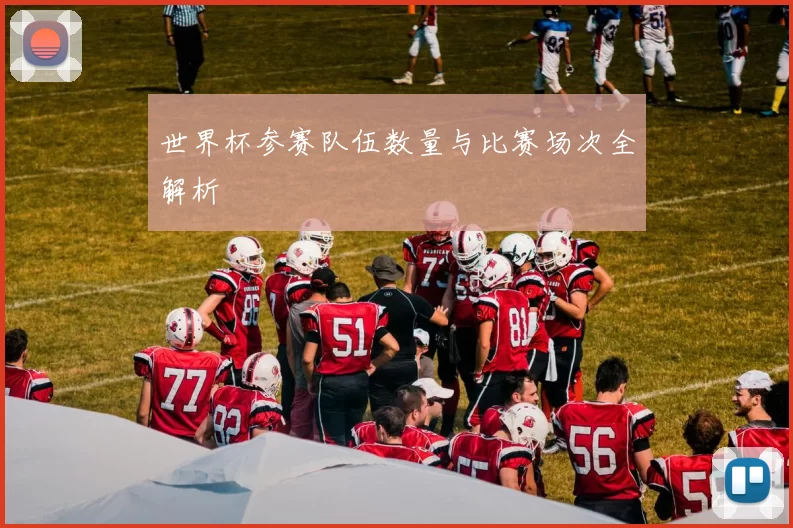 世界杯参赛队伍数量与比赛场次全解析