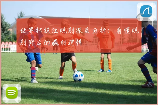 世界杯投注规则深度分析：看懂规则背后的赢利逻辑
