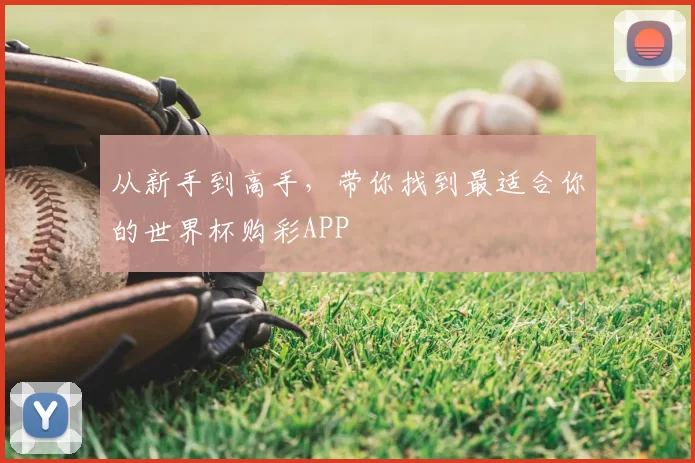 从新手到高手，带你找到最适合你的世界杯购彩APP