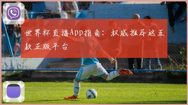 世界杯直播App指南：权威推荐这五款正版平台
