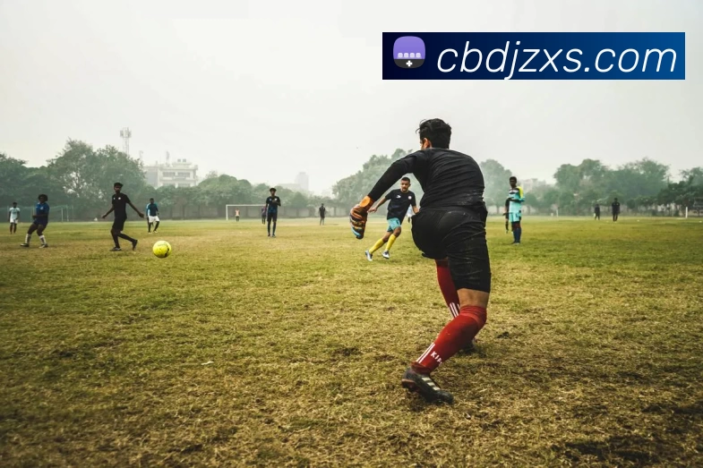 线上买球APP 高清赛事图